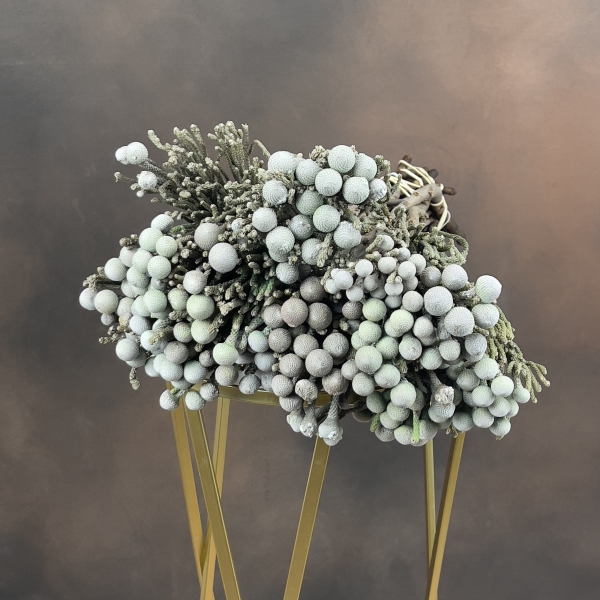 Бруния Laevis 40 см Бруния Laevis 40 см