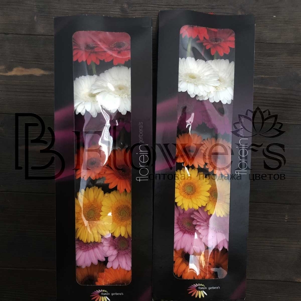 Гермини аква mix Гермини аква mix