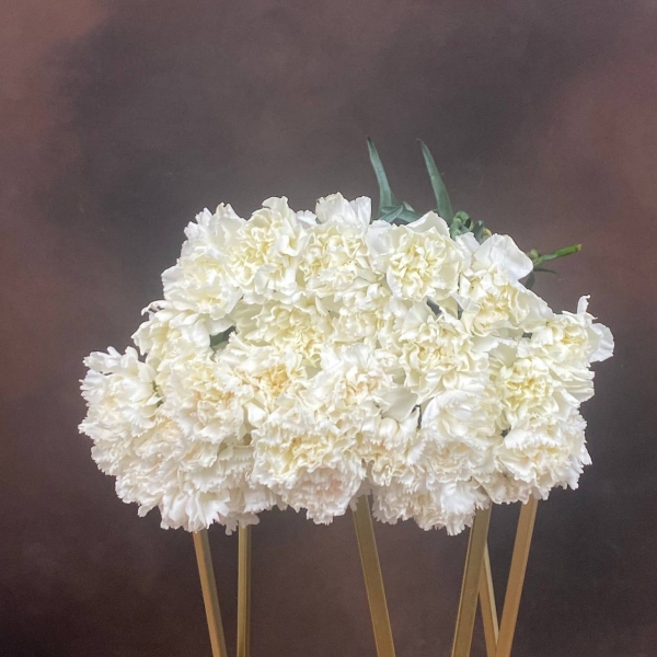 Гвоздика St Mont Blanc одноголовая 60 см Гвоздика St Mont Blanc одноголовая 60 см