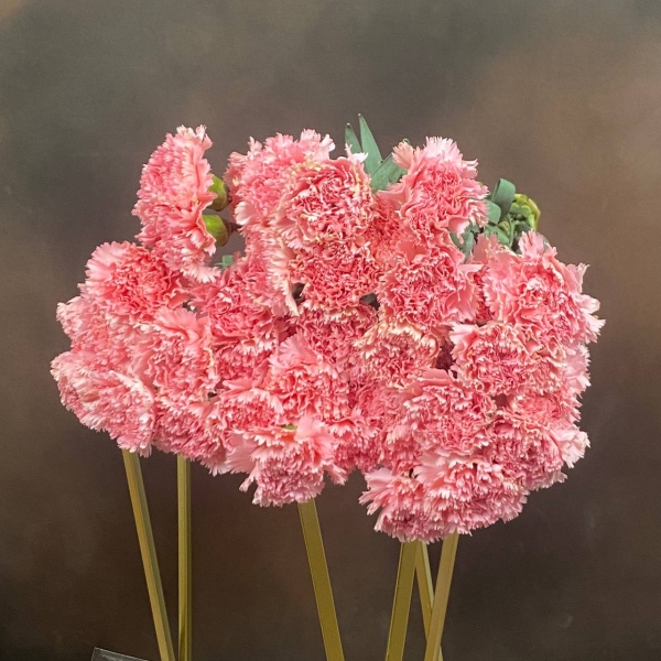 Гвоздика St Pink Montezuma одноголовая 65 см Гвоздика St Pink Montezuma одноголовая 65 см