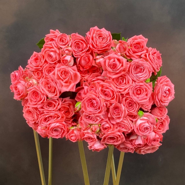 Роза Tr Barbados кустовая 60 см Роза Tr Barbados кустовая 60 см