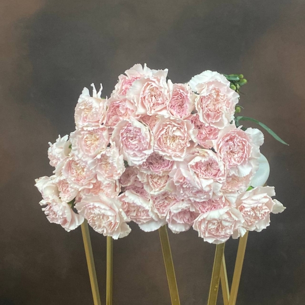 Гвоздика St Bridal Domascu одноголовая 55 см Гвоздика St Bridal Domascu одноголовая 55 см